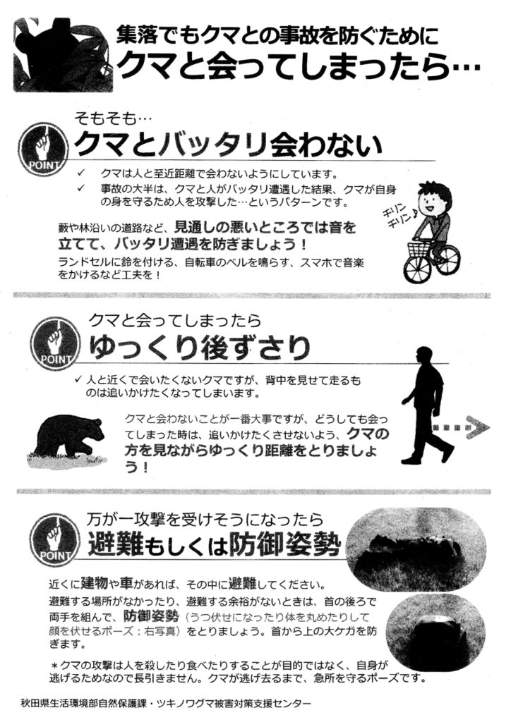 熊注意(4)